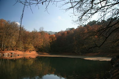 Reflection of trees in lake