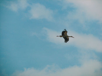 sky