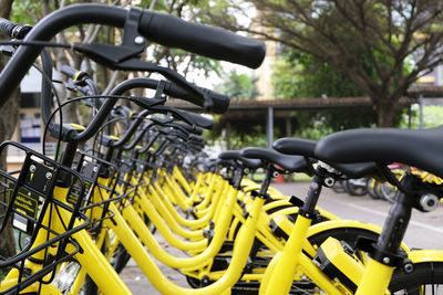 Close-up of yellow bicycles 