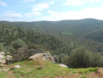 Scenic view of landscape against sky