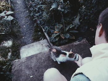 Close-up of hand feeding cat