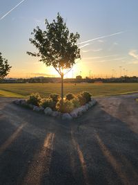 Road by trees on field against sky at sunset