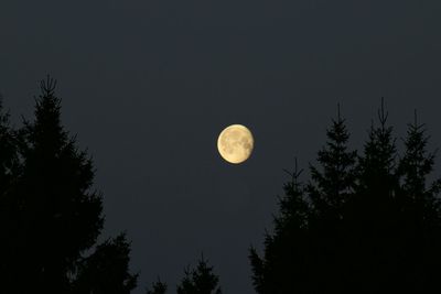 Low angle view of sky at night