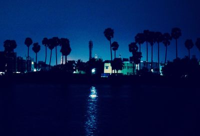 Silhouette of palm trees at night