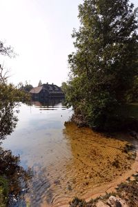 Reflection of trees in water