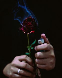Cropped hands of man burning rose in darkroom