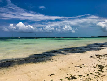 Beach life in zanzibar