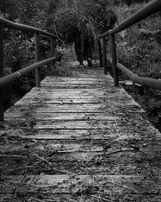 railing, the way forward, wood - material, tree, steps, footbridge, bridge - man made structure, sunlight, forest, steps and staircases, nature, wooden, connection, tranquility, wood, day, staircase, no people, plant, outdoors