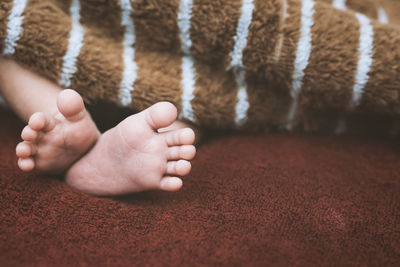 Low section of baby feet on rug