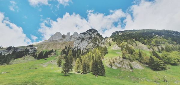 Panoramic view of landscape against sky