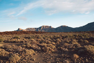 Scenic view of landscape and mountains against sky