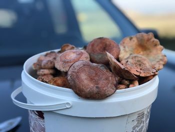 Close-up of mushrooms in bucket on vehicle hood