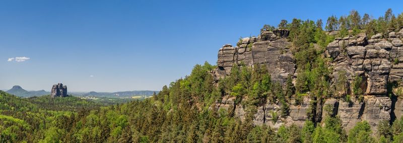 Plants growing on mountain against sky