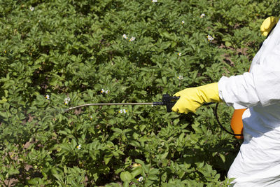 Midsection of farmer spraying pesticide on crop