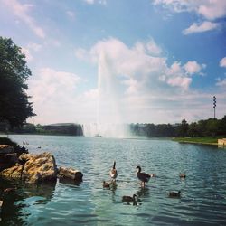 View of fountain in water