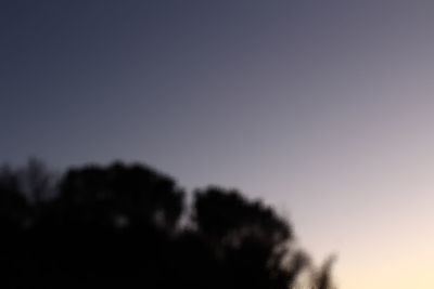 Close-up of silhouette tree against sky