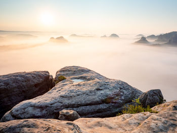 Deep valley full of pink mist. fantastic dreamy sunrise above fairx valley named grosser zschand.