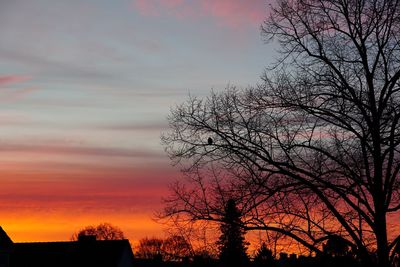 Low angle view of silhouette trees against sky at sunset