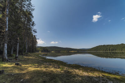 Scenic view of lake in forest against sky