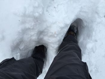 Low section of person standing on snow