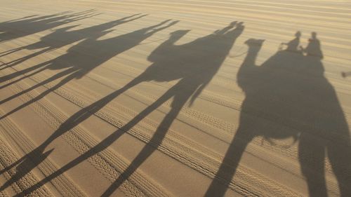 Shadow of man on wall