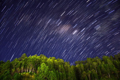 Scenic view of star field against sky at night