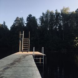 View of bridge in forest