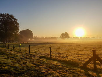 Scenic view of field against sky during sunset