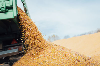 Unloading corn from tractor