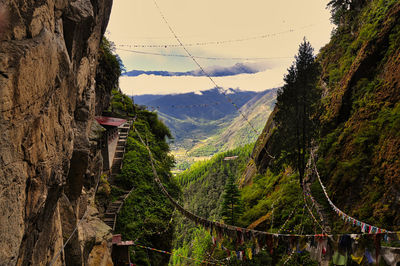 Panoramic view of trees and mountains against sky