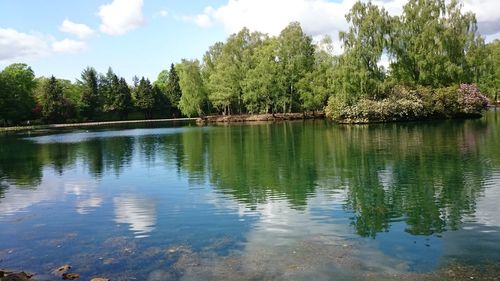 Scenic view of lake by trees against sky