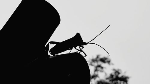 Low angle view of silhouette man against clear sky