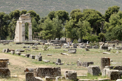 View of a cemetery