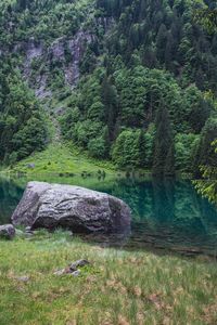 Scenic view of lake