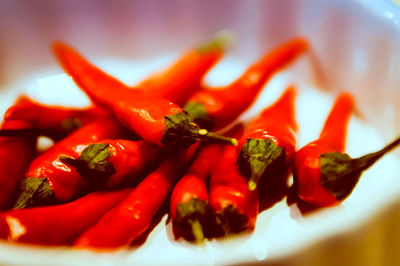 Close-up of red chili peppers in plate