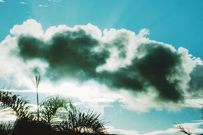 Low angle view of silhouette palm trees against sky