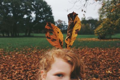 Close-up of autumn leaves on field