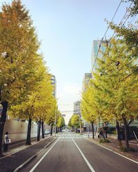 Road by trees against clear sky