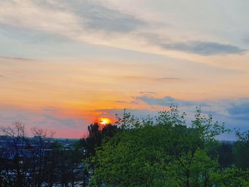 Plants and trees against sky during sunset