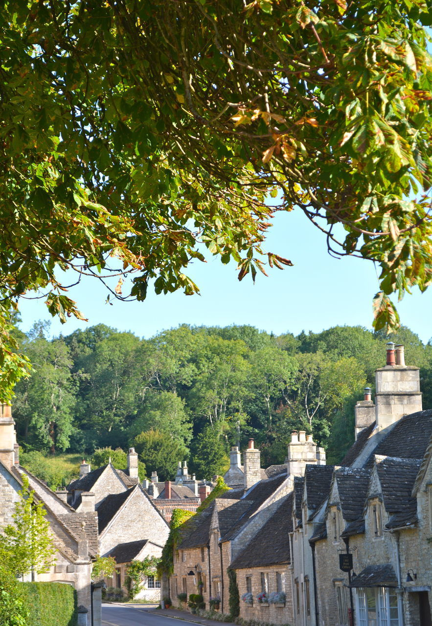 HOUSES BY TREE AGAINST SKY