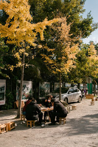 Group of people on plants against trees