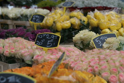 Close-up of various flowers for sale at market stall