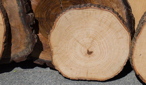 Stack of tree stump