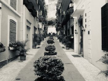 Street amidst buildings in city