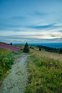 Scenic view of landscape against sky