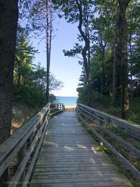 View of footbridge in forest