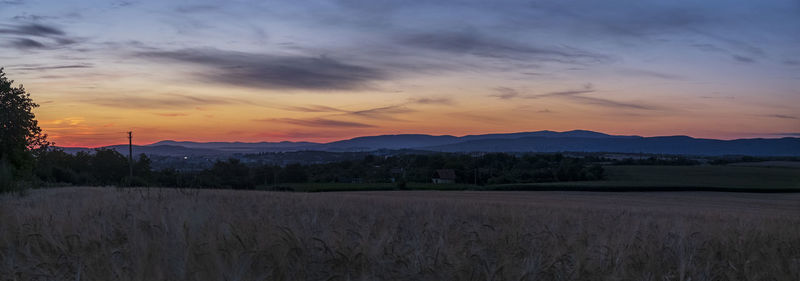 Scenic view of field against sky during sunset