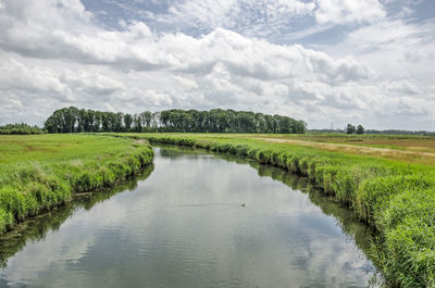 Curving creek in a green polder landscape in the noordwaard region in biesbosch national park