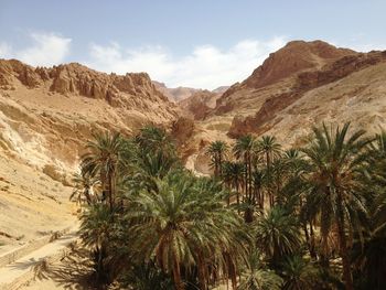 Scenic view of arid landscape against sky