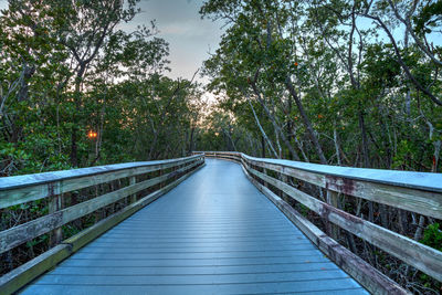 Boardwalk through the swamp, leading to clam pass at sunset in naples, florida